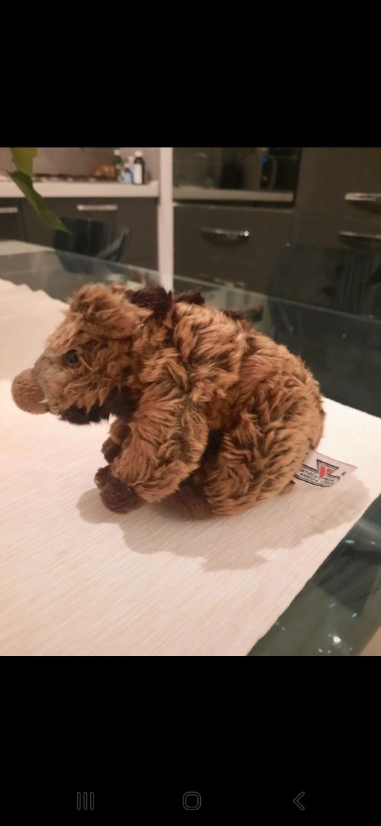 Peluche cinghiale
