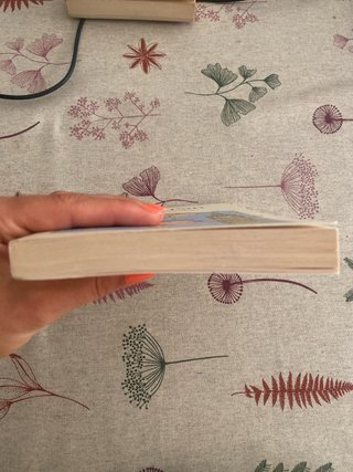 Libro Peter Pan en inglés