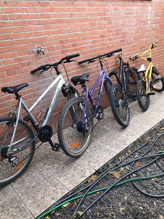 Bicicletas 