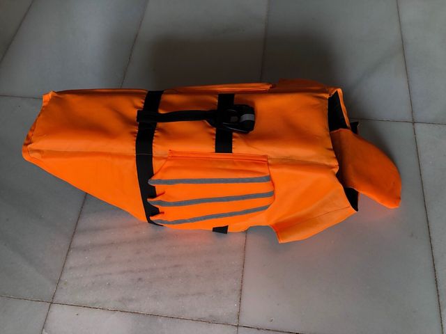 Chaleco acuatico perro