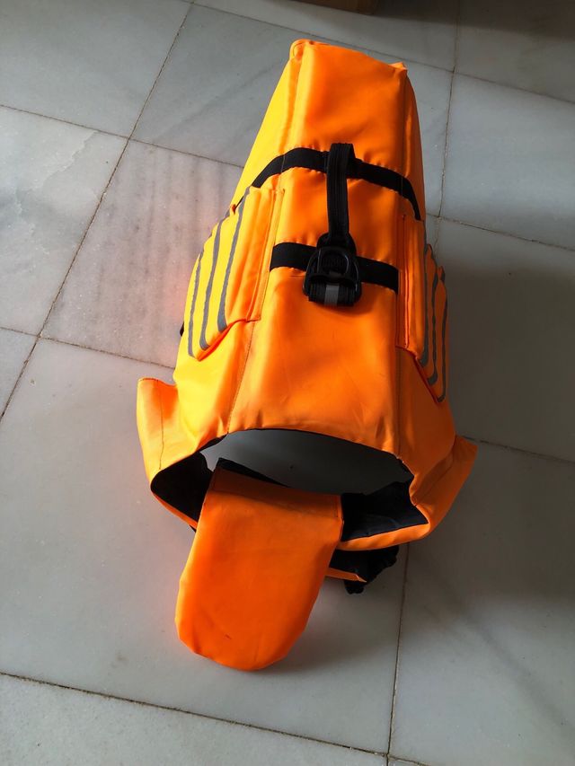 Chaleco acuatico perro