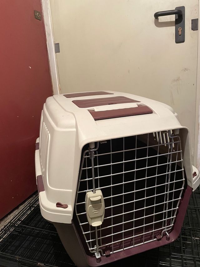 Trasportin Perro Grande