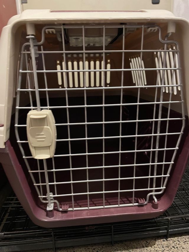 Trasportin Perro Grande