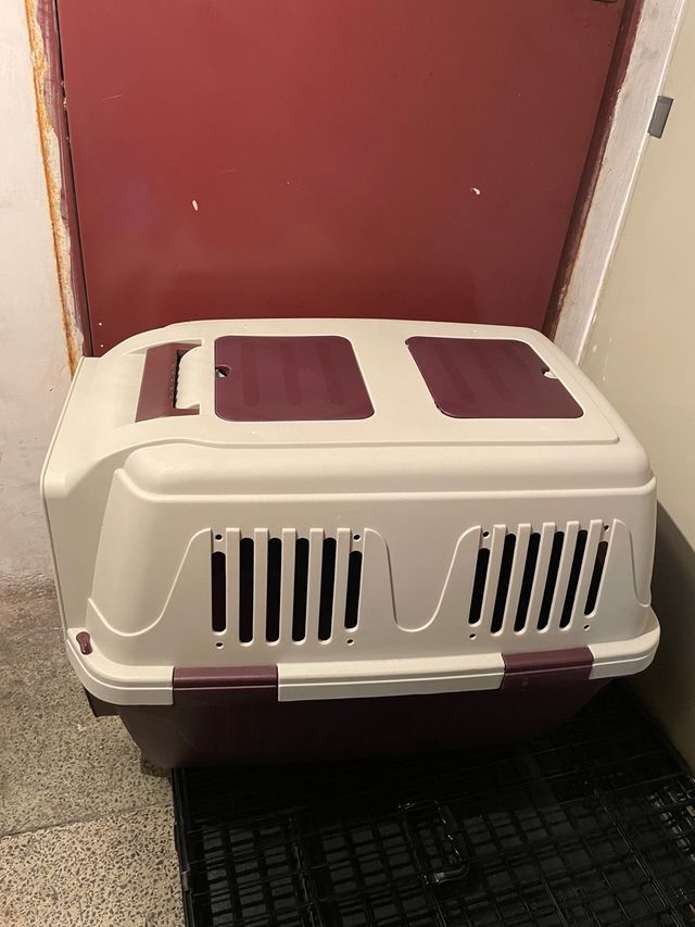 Trasportin Perro Grande