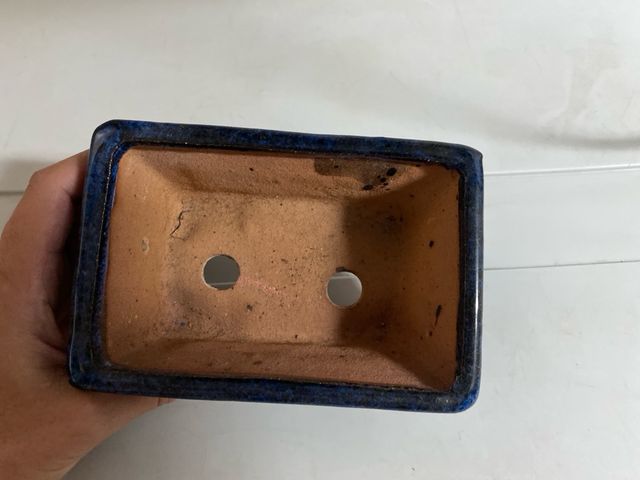 Maceta de ceramica azul para bonsai