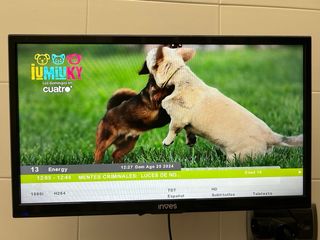 Tv 19” con tdt hd y hdmi
