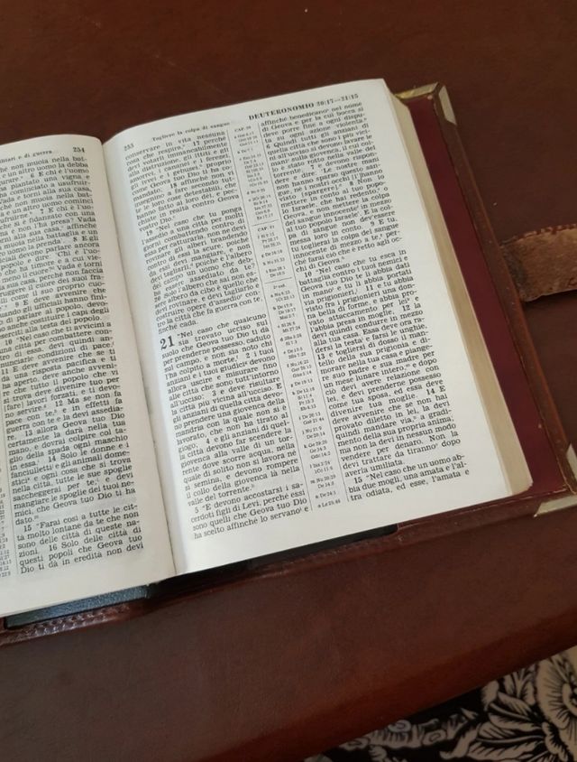 Traduzione del nuovo mondo