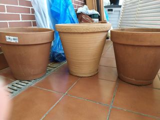Lote macetas de barro