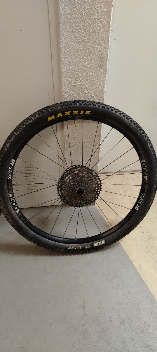 Ruedas 29 mtb completas