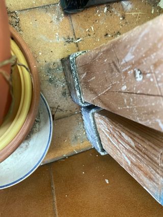 💎🥇Escalera pintor y regalo herramient pintura 📣