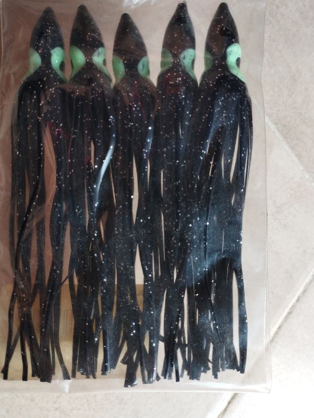 Pulpitos SYW de Evia.