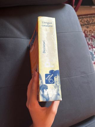 Diccionari primària català