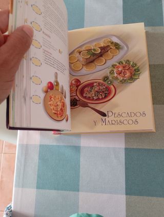 Libro cocina Española