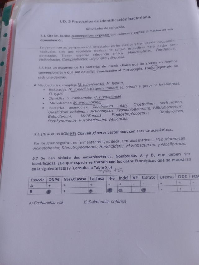 Examenes Hematologia