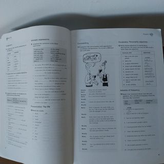 Milestones Intermediate Student's Book + Workbook