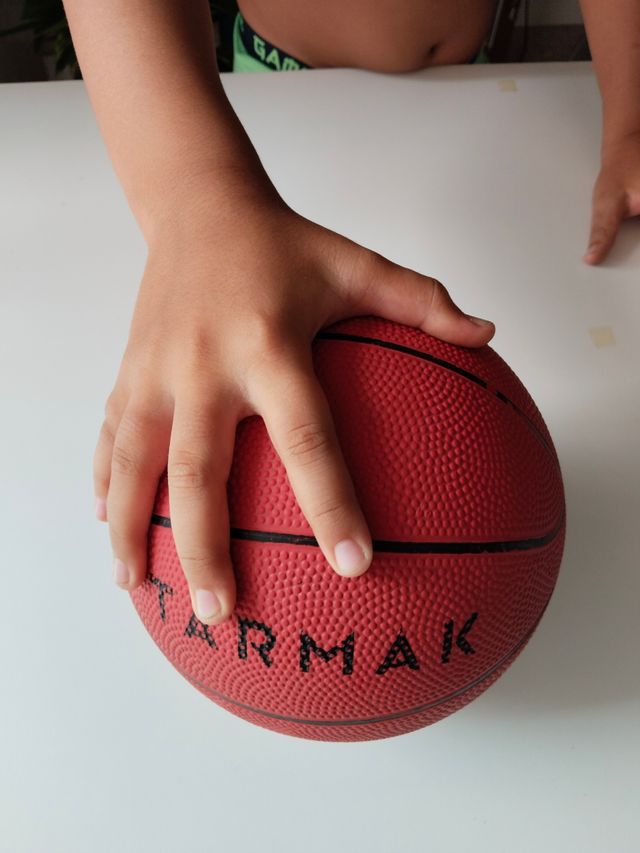 Pelota Baloncesto 