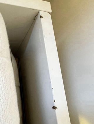 Cama con almacenaje Briones + colchones