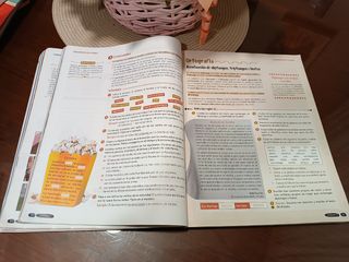 Libro Literatura 2 Eso de Anaya