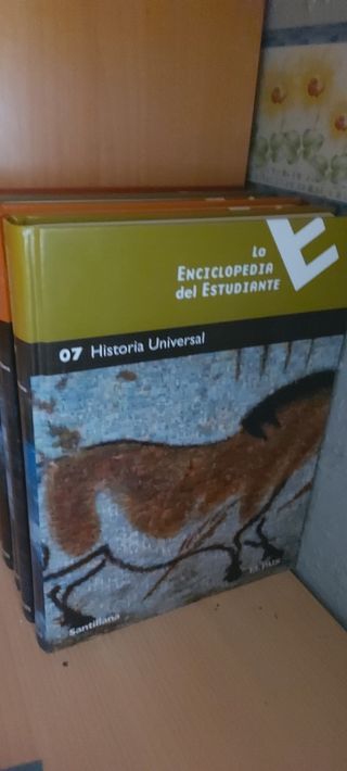 Enciclopedias Santillana 8x5=40. X 35€ las 8 encic