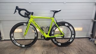 Orbea orca