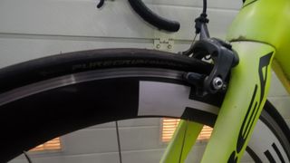 Orbea orca