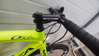 Orbea orca