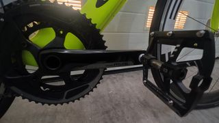 Orbea orca