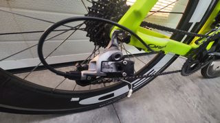 Orbea orca