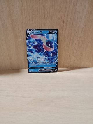 Pack Cartas Pokemon V