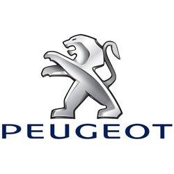 Soporte de montaje caja PEUGEOT CITROEN 9624228180