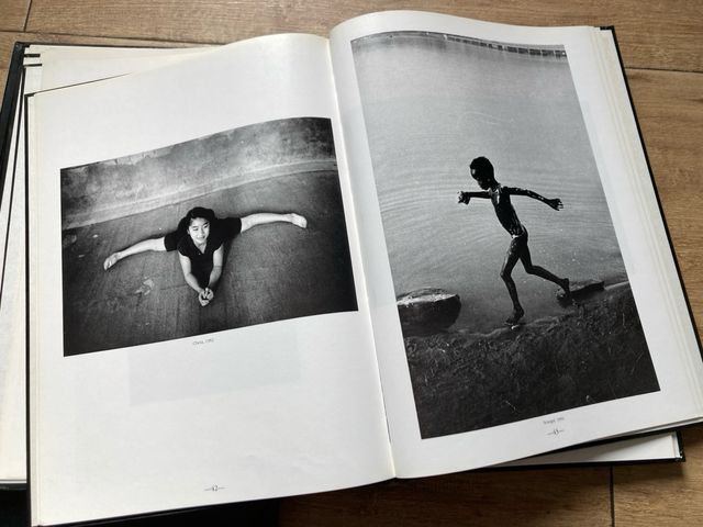 Los grandes fotógrafos colección