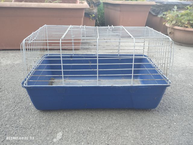 Gabbia per conigli