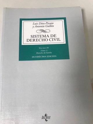 Sistema de Derecho Civil (vol IV: familia)