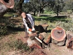 Limpieza de terrenos