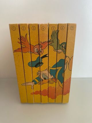 Biblioteca de los jóvenes castores 