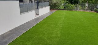 Limpieza de parcelas y terrenos