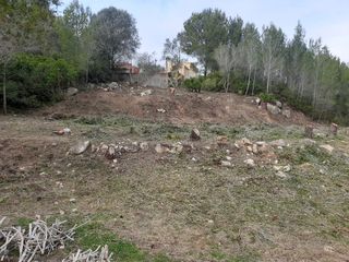 Limpieza de parcelas y terrenos