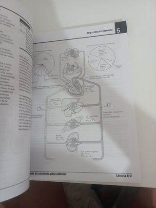 Cuaderno de Anatomía NETTER NUEVO 