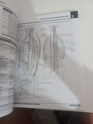Cuaderno de Anatomía NETTER NUEVO 