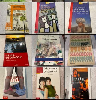 Libros escolares euskera y castellano