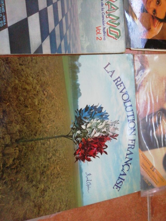 Lote discos vinilo lp