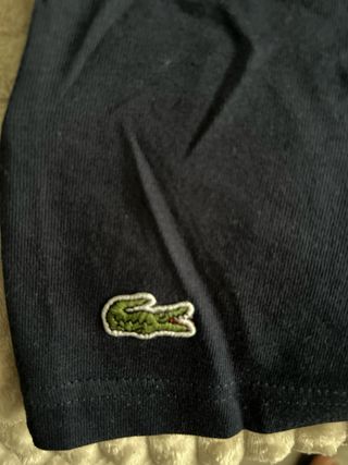 Camiseta