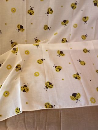 Cortinas
