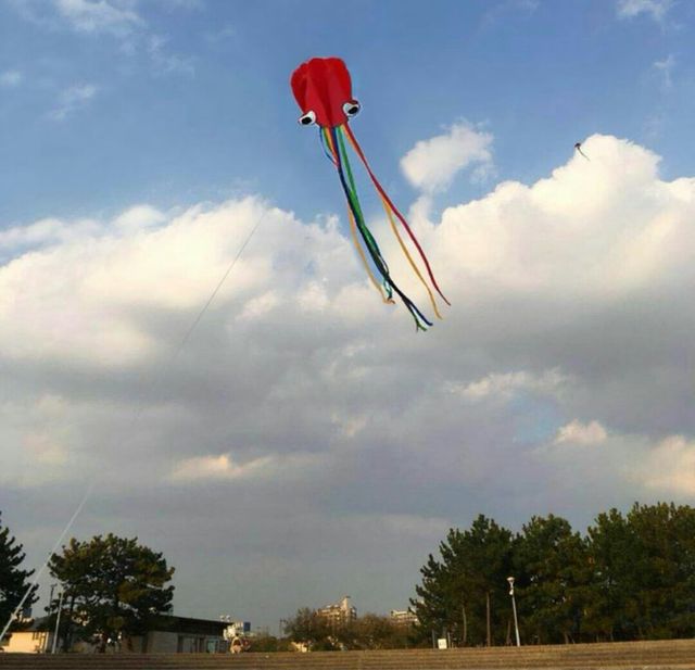 set de 2 cometas fáciles de manejar un hilo. Pulpo