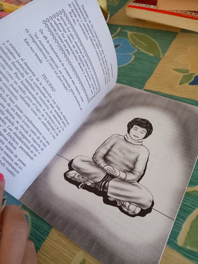 Libro Educar desde el corazón. Eugenia Puebla