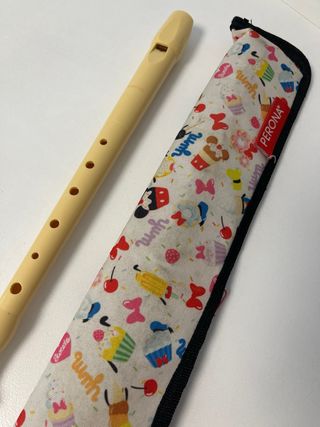 Flauta dulce y funda