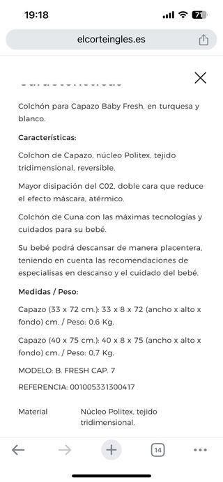 Moises