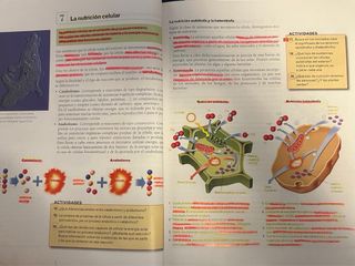 Ciencias de la naturaleza 2 ESO Santillana