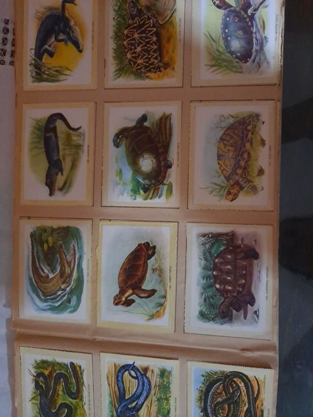 Album adesivi Naturama, animali, razze e corpo