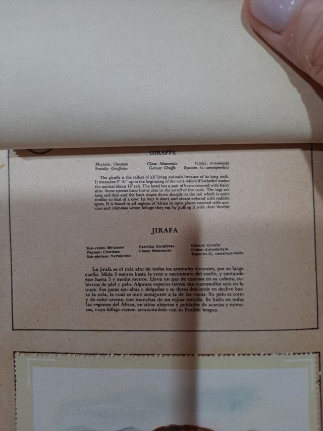 Album adesivi Naturama, animali, razze e corpo